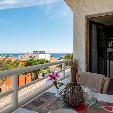 Apartament Natalis *