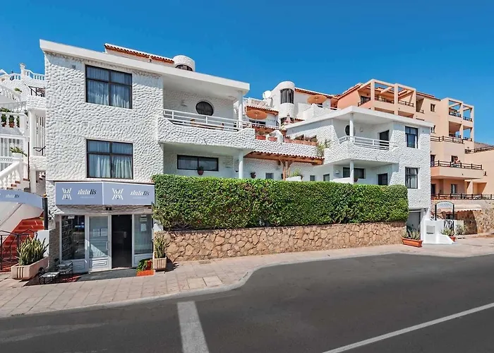 Natalis モロ・デル・ハブレ