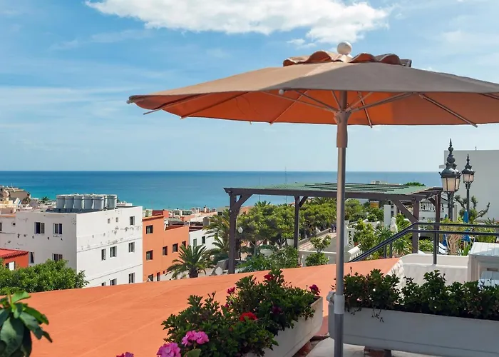 Natalis * モロ・デル・ハブレ